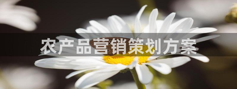 必赢棋盘app下载
