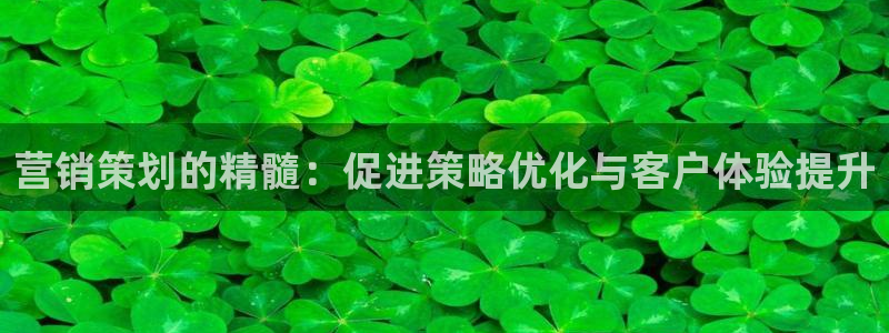 必赢集团winex