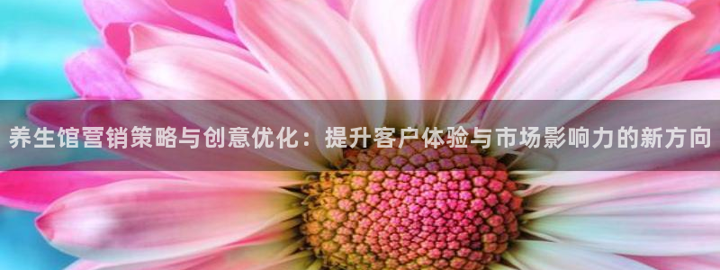 必赢手机app下载安装最新版