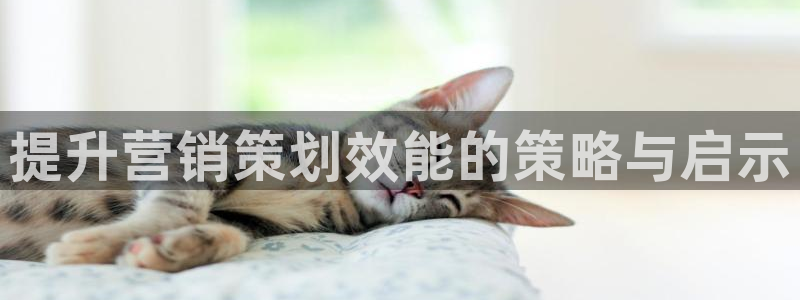 必赢国际app最新官网