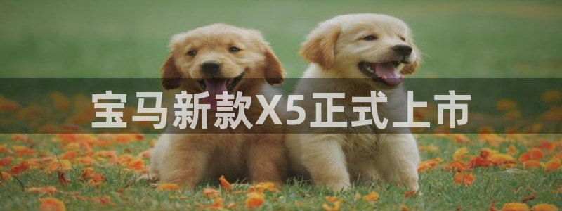 必赢下载