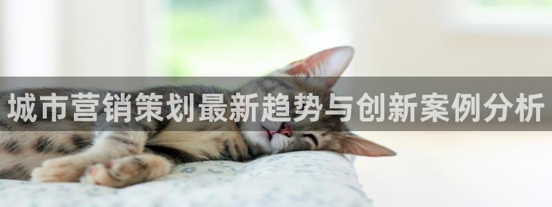 必赢网站有哪些