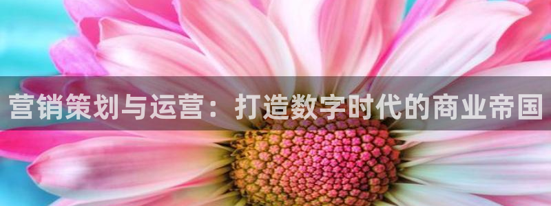 必赢国际437网页版