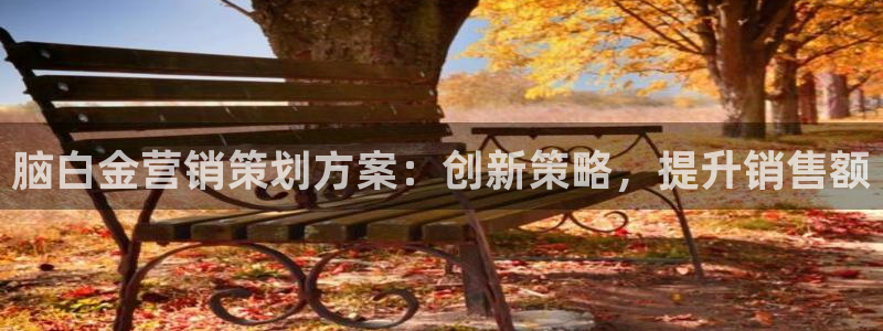 必赢516net怎么进