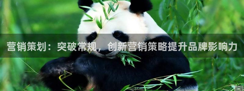 必赢宝是不是合法平台