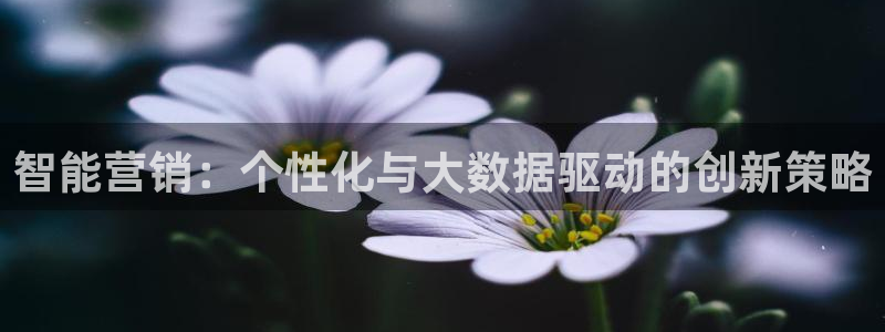 必赢app能挣钱吗