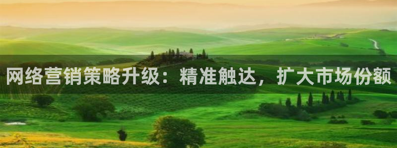 必赢国际437网页版