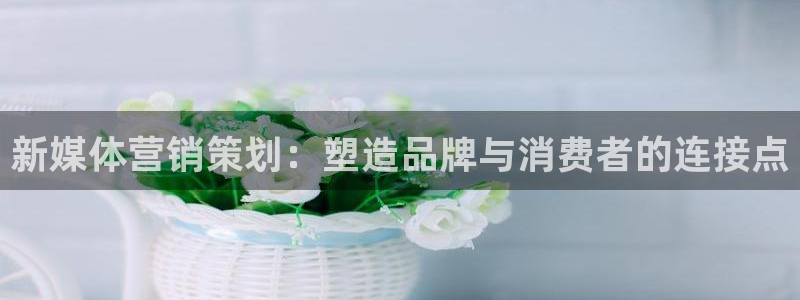 必赢手机app下载安装官网