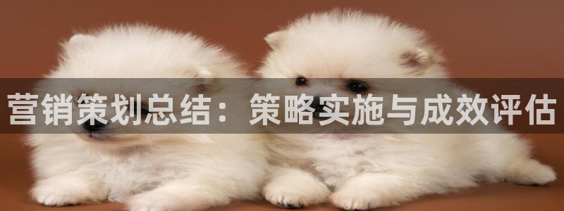 必赢手机版网站多少