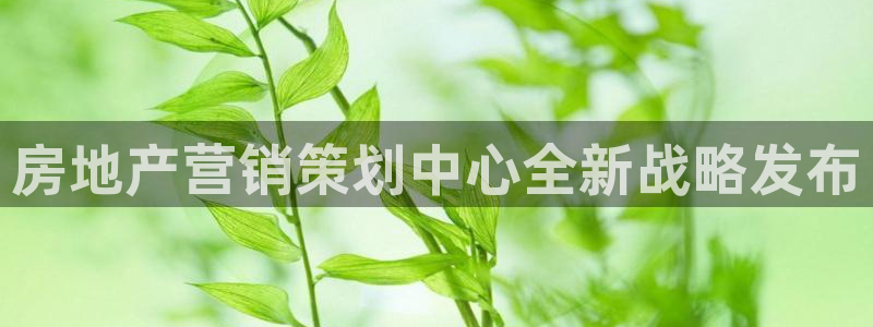 必赢qp