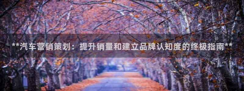 必赢棋盘官网版