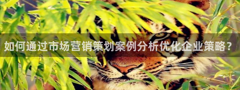 必赢平台官方电话