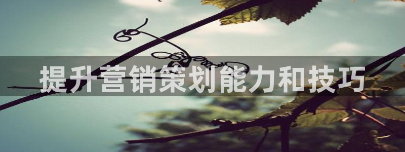 必赢官网app下载