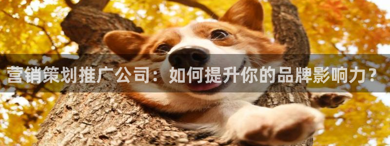 必赢手机app下载抢红包