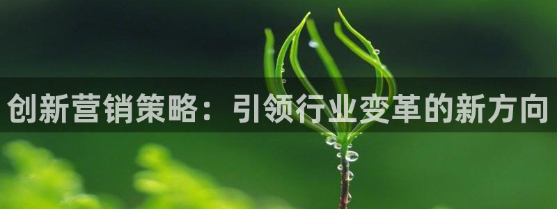 必赢集团怎么样