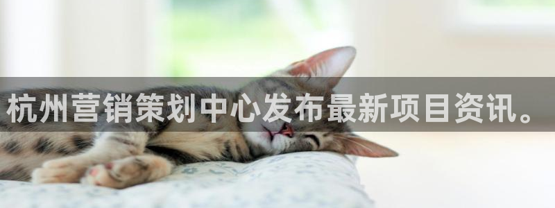 必赢网站有哪些