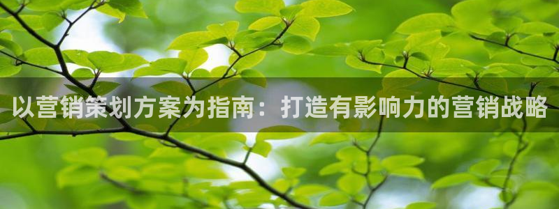必赢网站