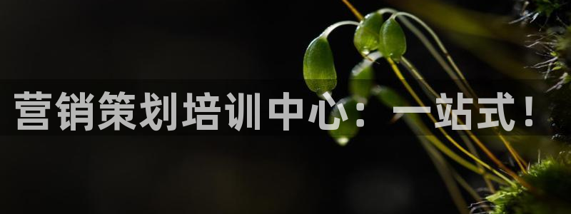 必赢下载ipad