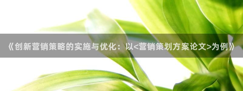 必赢516net怎么进