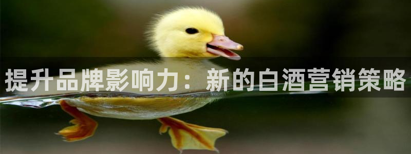 必赢手机版官网