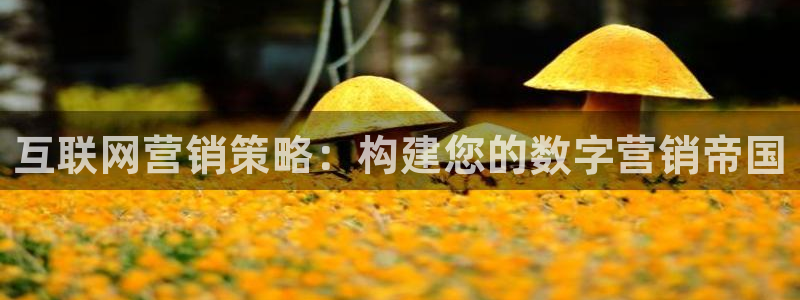 必赢网站