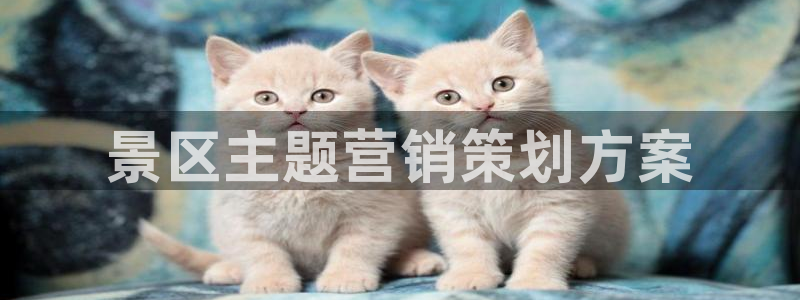 必赢qp