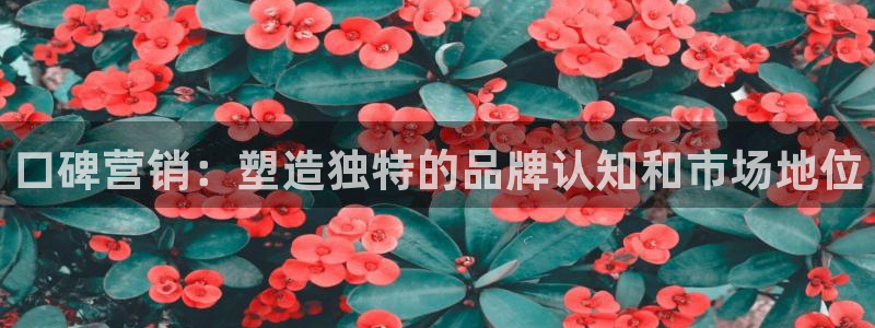 必赢亚赢网站官网下载安装最新版
