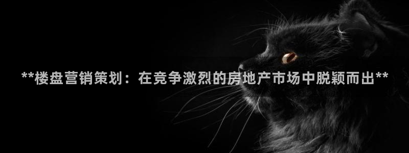 必赢是真的吗