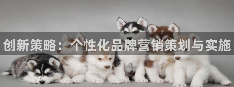 必赢网站打不开