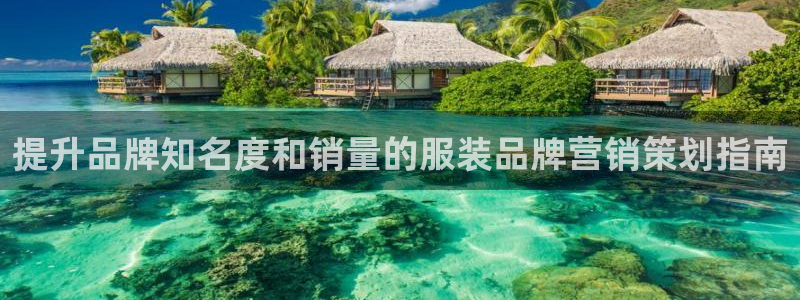 必赢国际技巧