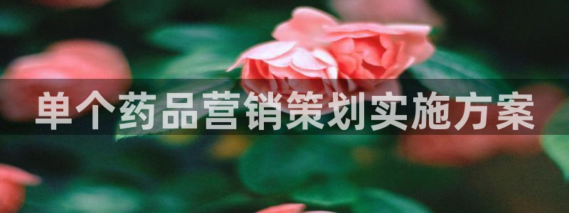必赢888国际集团