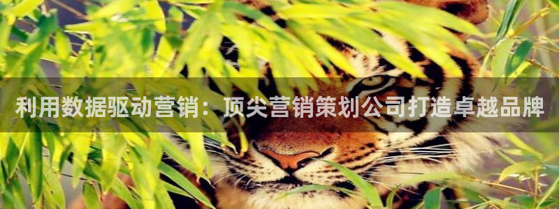 必赢下载安卓版下载
