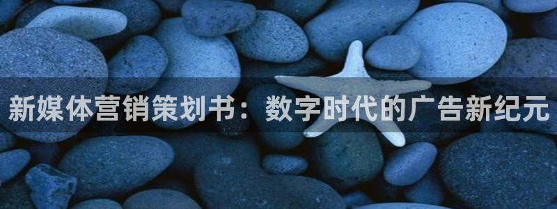 必赢平台怎么样
