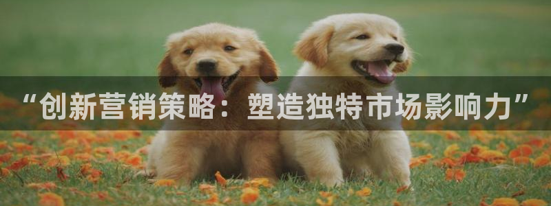 必赢官网app下载安装最新版苹果