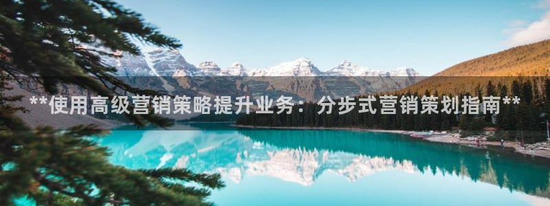 必赢国际是什么
