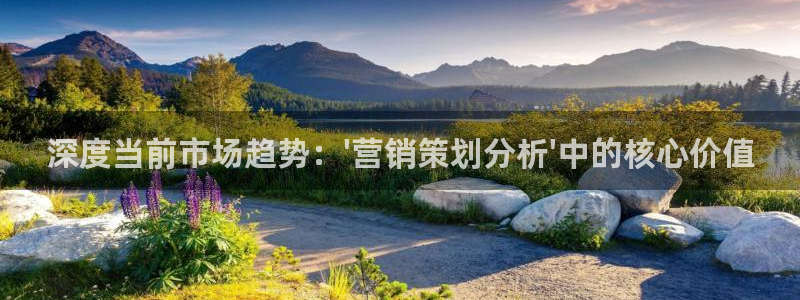必赢国际游戏技巧