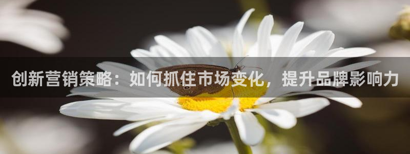 必赢网址谁知道的