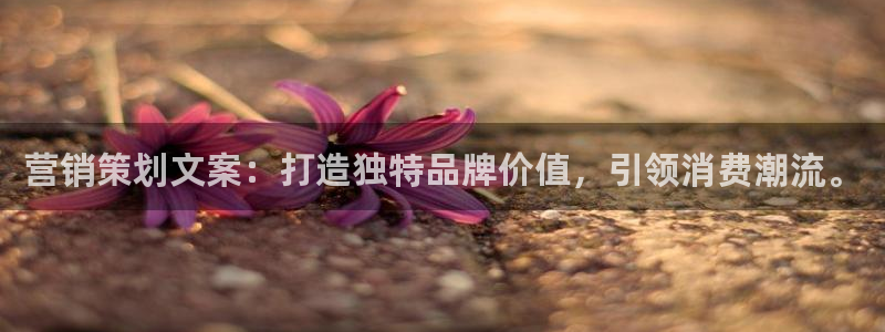437437必赢国际怎么充不了钱