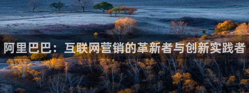 9965必赢游戏特色