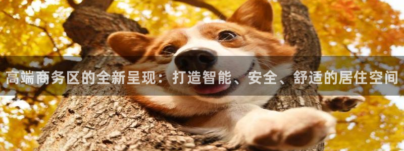 必赢亚赢网站官网下载手机版安装