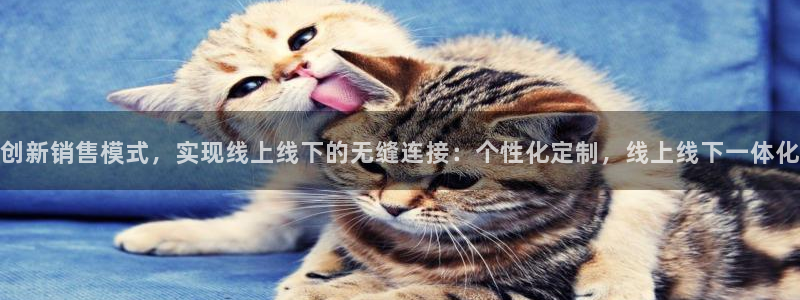 必赢平台官方客服电话