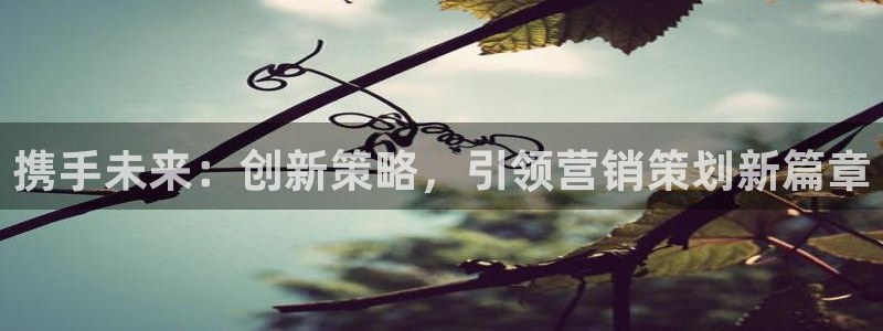 必赢国际技巧