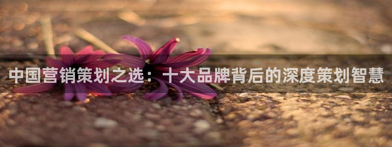 56.nt必赢官网