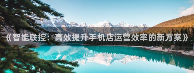 必赢亚赢网站官网下载手机版