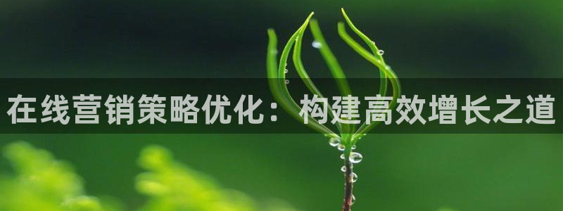 必赢下载安卓版：在线营销策略优