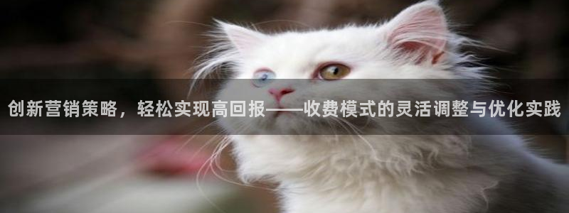 必赢手机app下载最新版本安卓