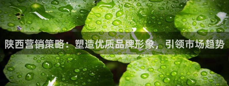 必赢账号：陕西营销策略：塑造优