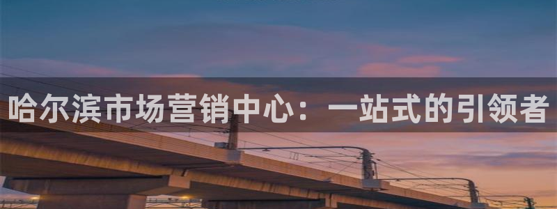 必赢线上网址查询