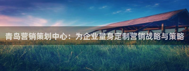 必赢手机版：青岛营销策划中心：