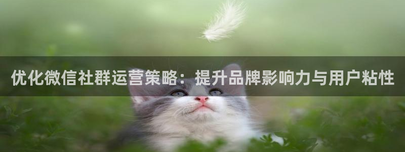 必赢网址手机主页在哪